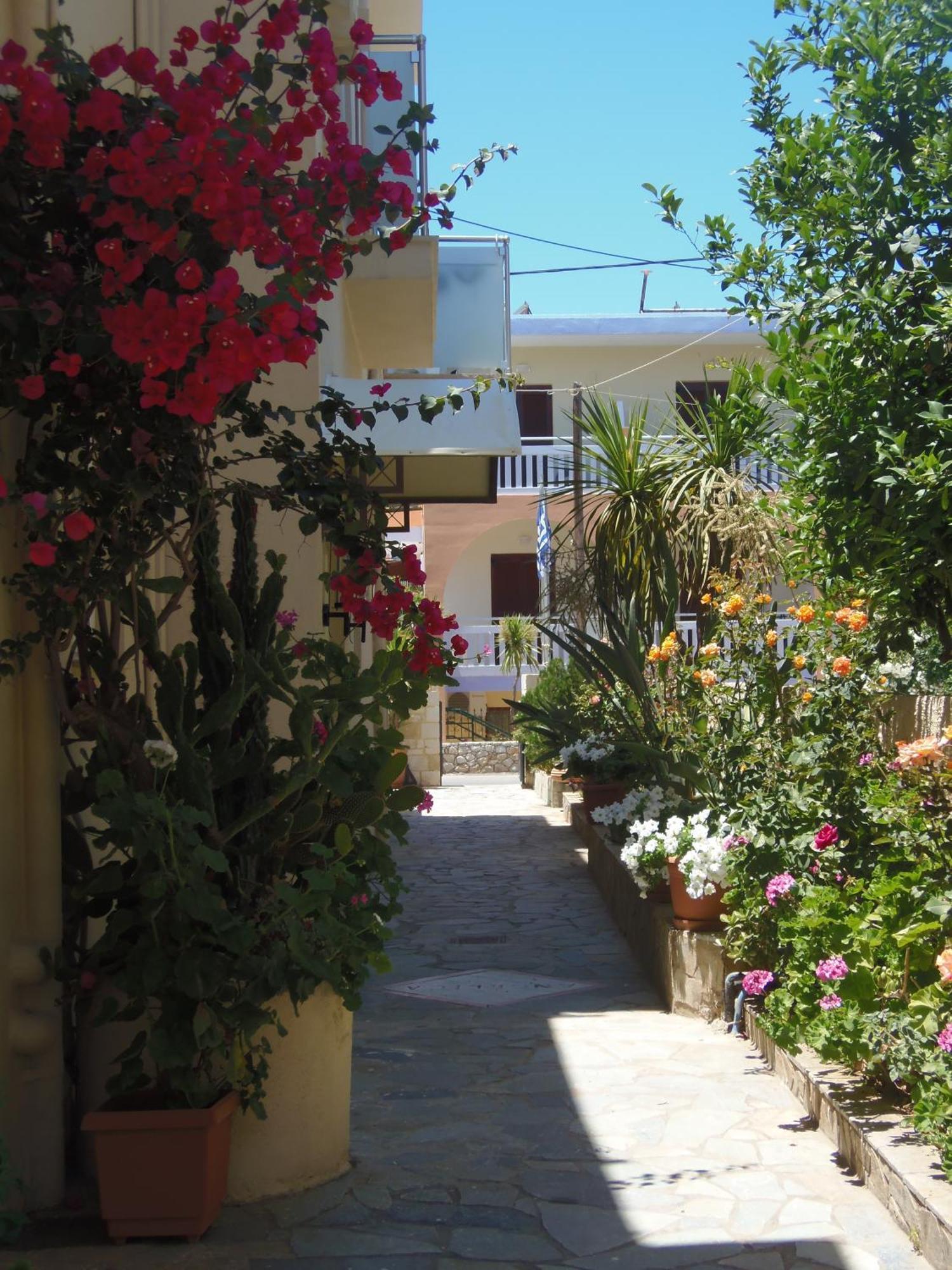 Angelica Studios&Apartments Agia Marina Exterior foto